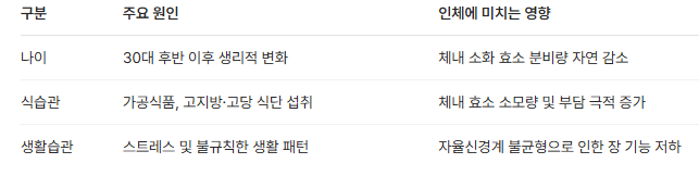 소화 효소를 감소시키는 3대 원인 및 결과표