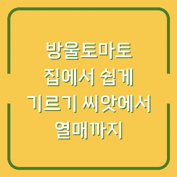 방울토마토 집에서 쉽게 기르기 씨앗에서 열매까지