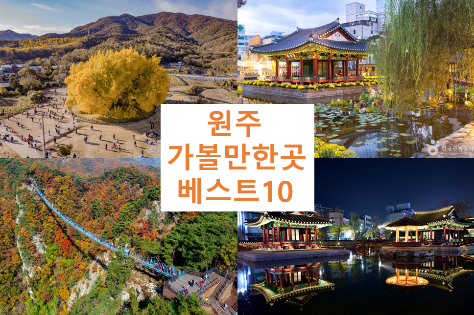 원주 가볼만한 곳 베스트10