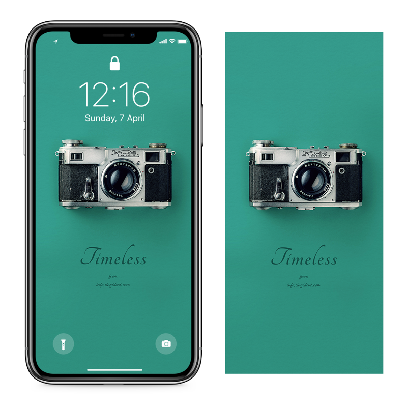 02 카메라 C - Timeless 아이폰초록색배경화면