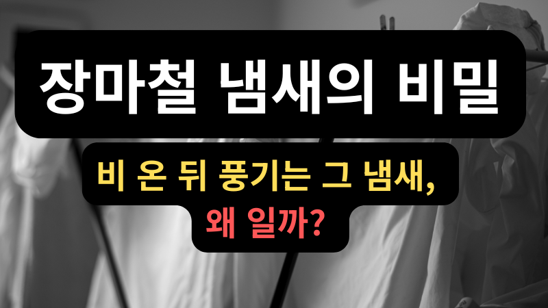장마철에 빨래를 말리고 있는 썸네일 이미지