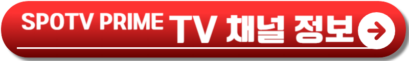 토트넘 아스톤빌라