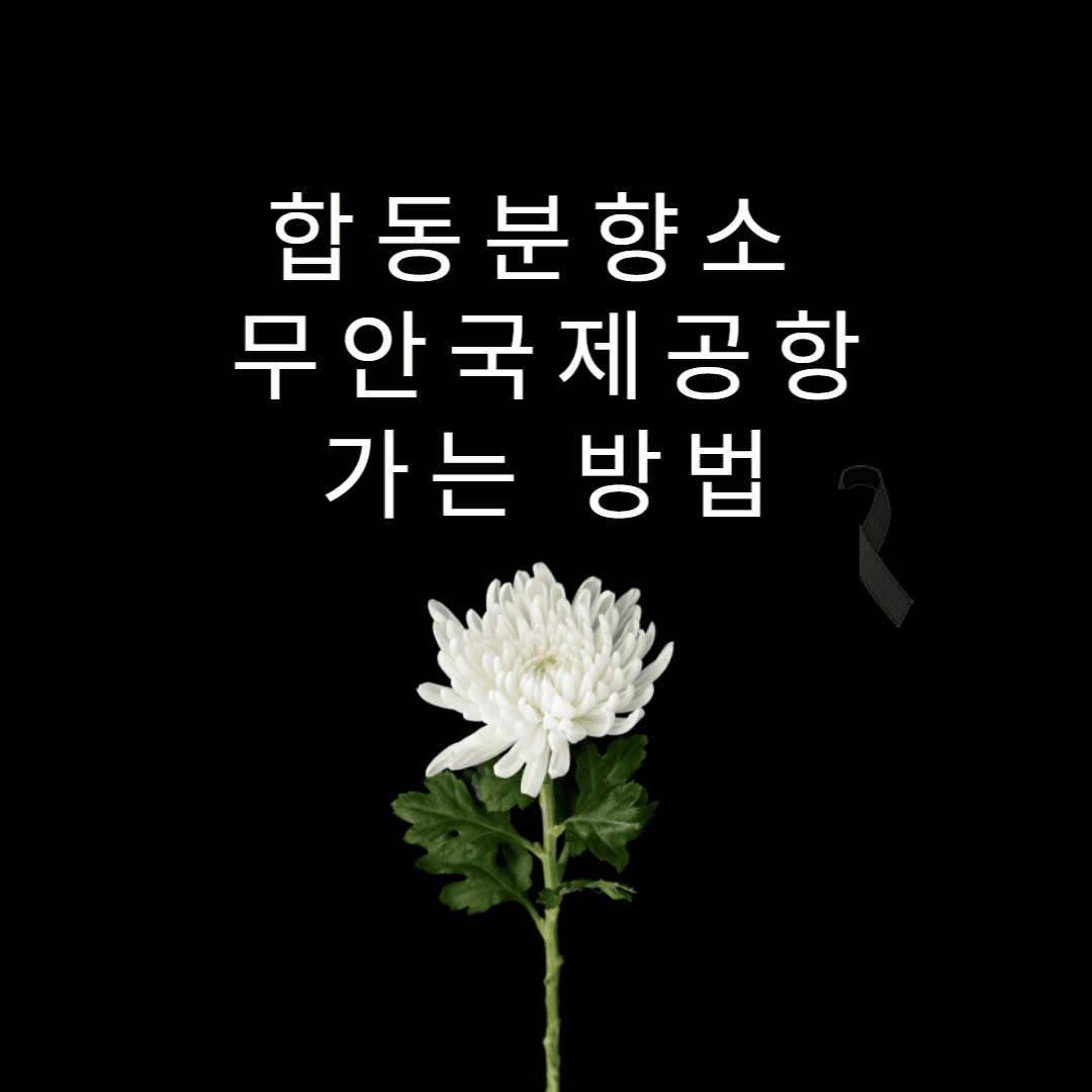 합동분향소-무안국제공항-가는-방법