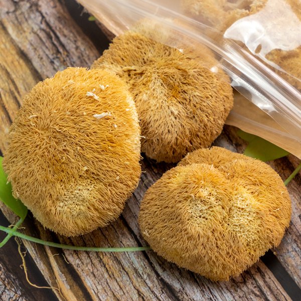 역류성식도염에 좋은 음식 10가지