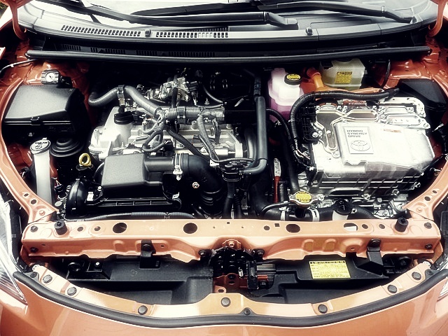 엘앤에프 주가분석