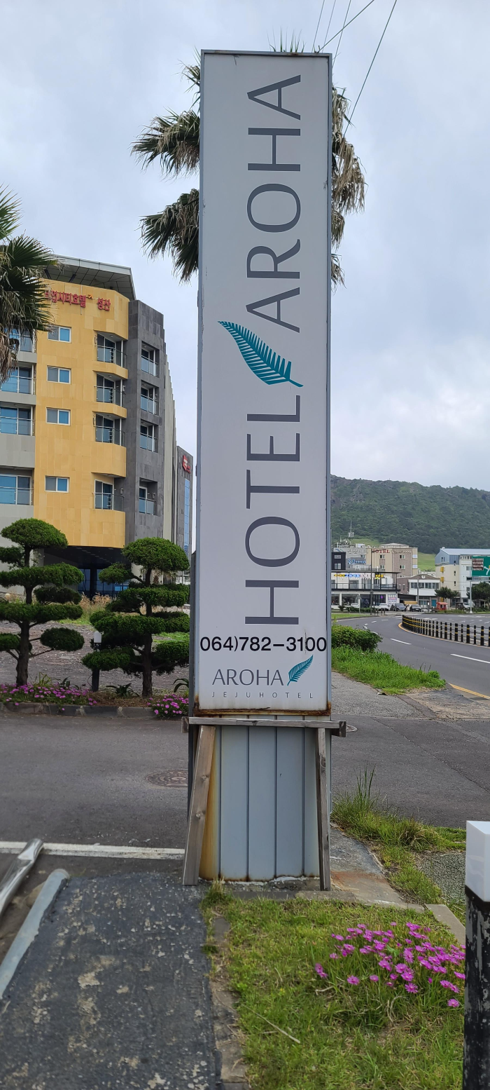 제주도 제주도숙박 아로하호텔