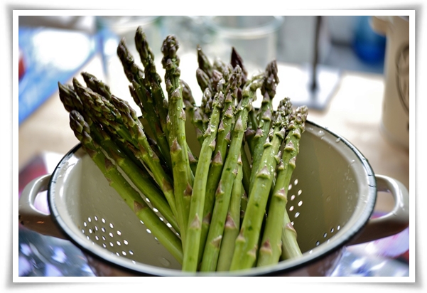 텃밭 &quot;아스파라거스 기르기&quot; 한 번 심으면 10년 동안 거두는 황금 채소!