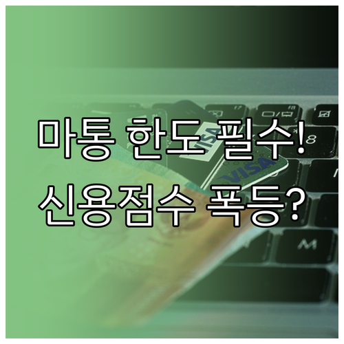 마이너스 통장 한도 설정과 소진율에 ..