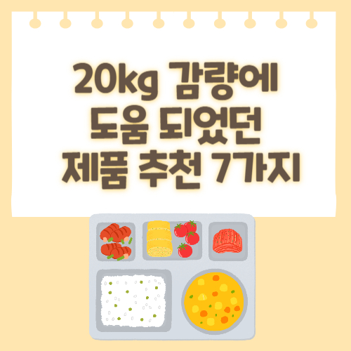 20kg 감량하는데 도움 되었던 제품 추천 7가지