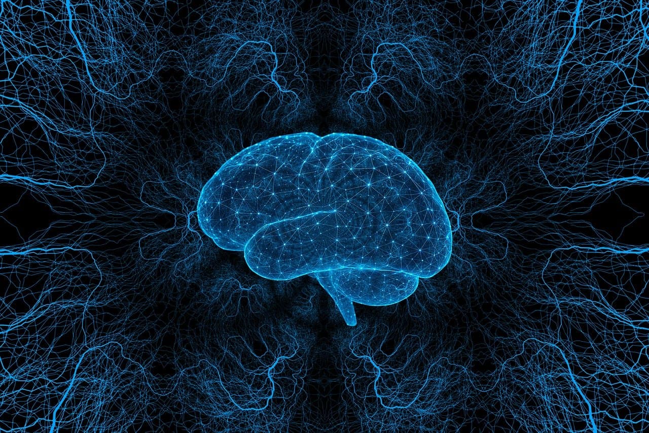 REM수면과 Non-REM수면의 차이: 수면 단계별 뇌 활동과 기억력 향상의 과학