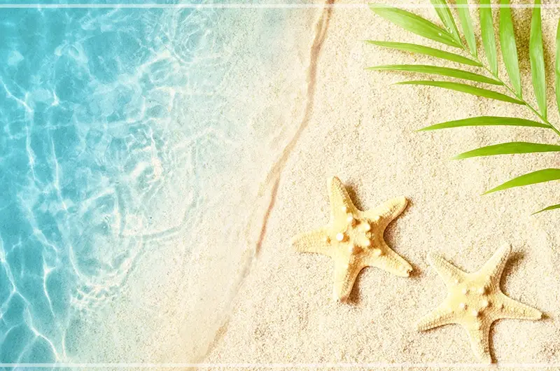 쏠비치-삼척-오션플레이-요금-가격-예약-할인