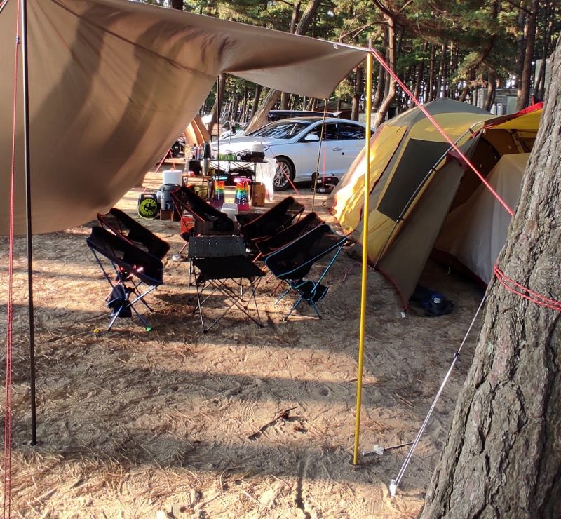 텐트와 타프를 친 우리 사이트