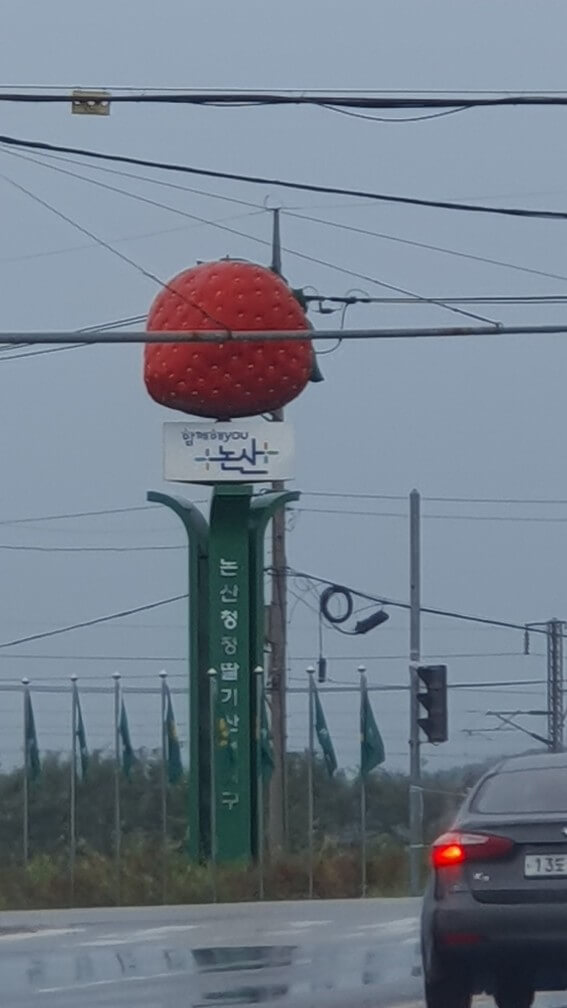 곳곳에 설치된 딸기 조형물1