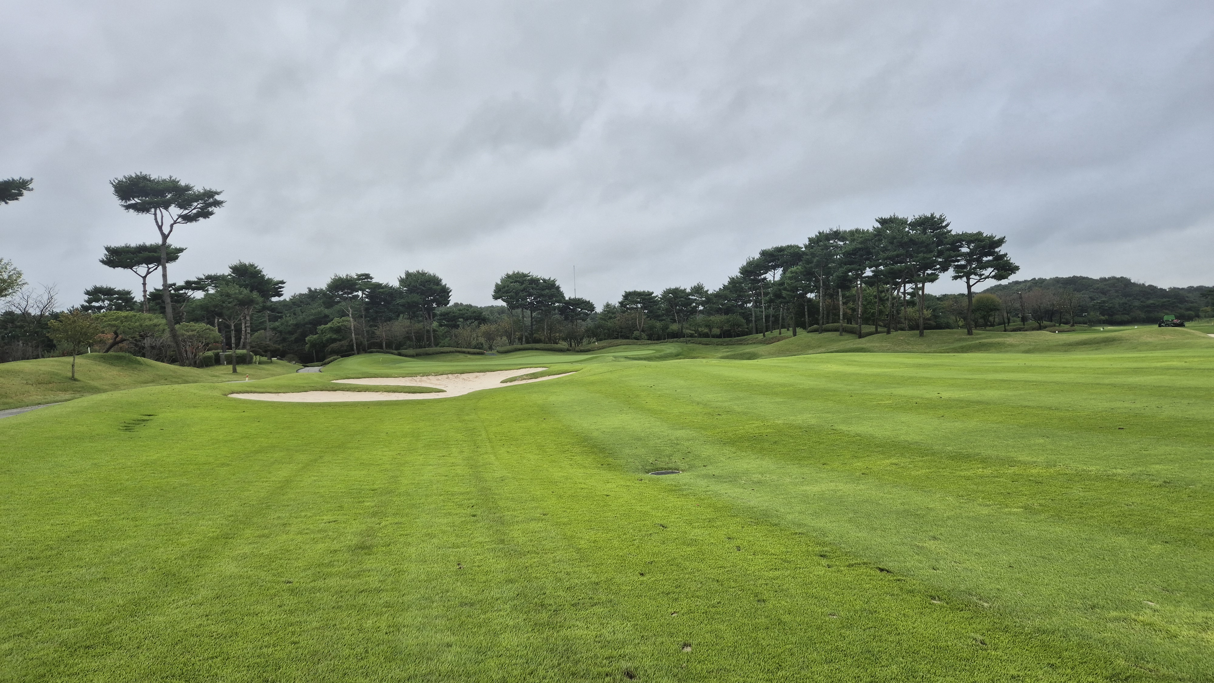 파인스톤cc 스톤 코스