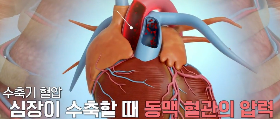 아르기닌의 효능