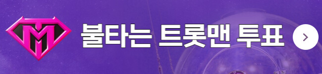 불타는트롯맨-투표방법