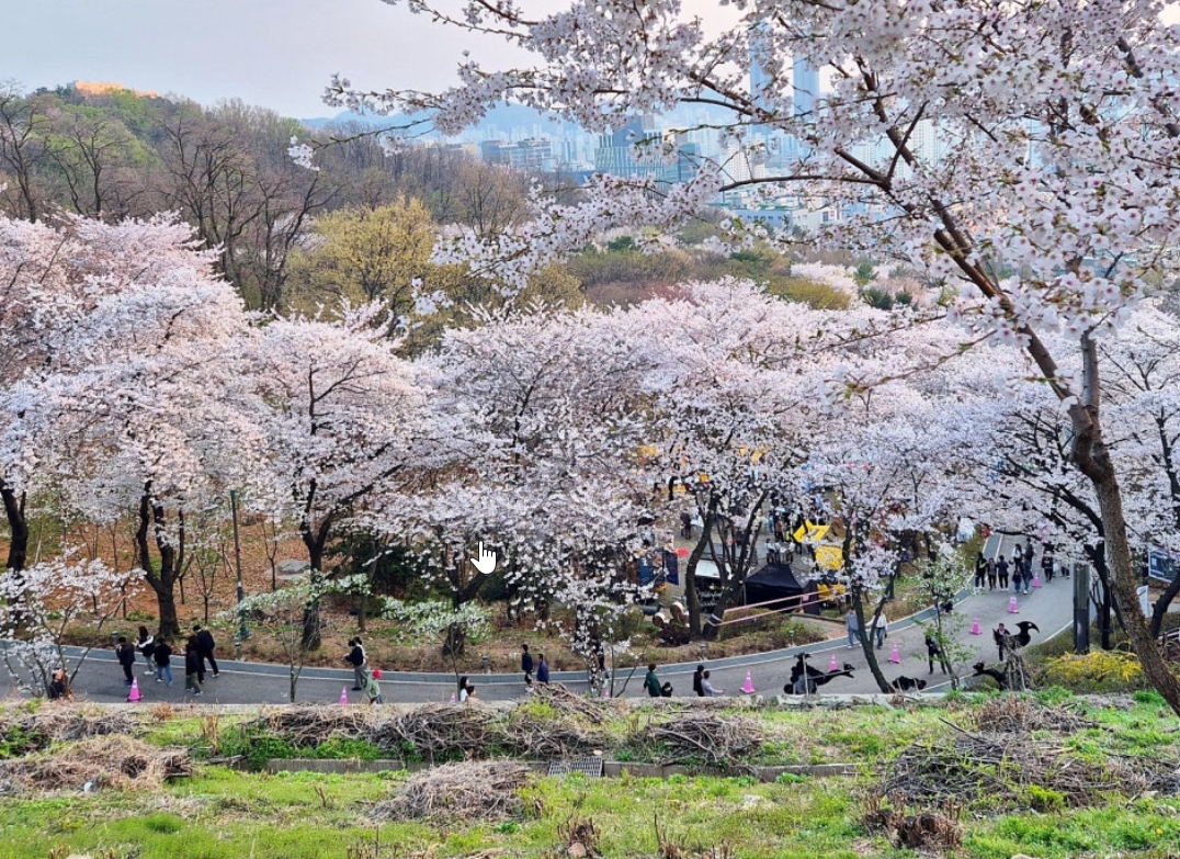 도당공원 행사장 사진
