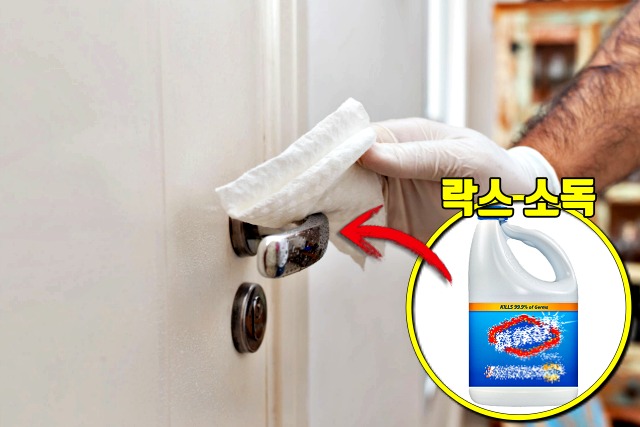 코로나 자가격리 소독,팁줌