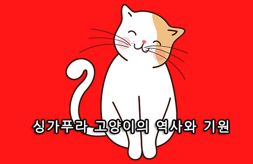 싱가푸라 고양이의 역사와 기원