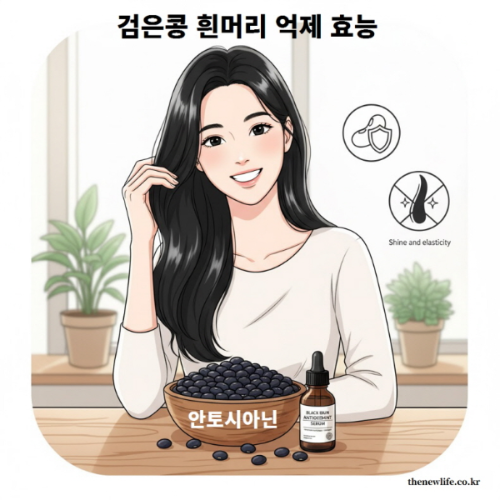 검은콩 흰머리 억제 효능 – 안토시아닌이 멜라닌 세포 손상을 막아 머리카락 윤기와 탄력을 유지하는 모습