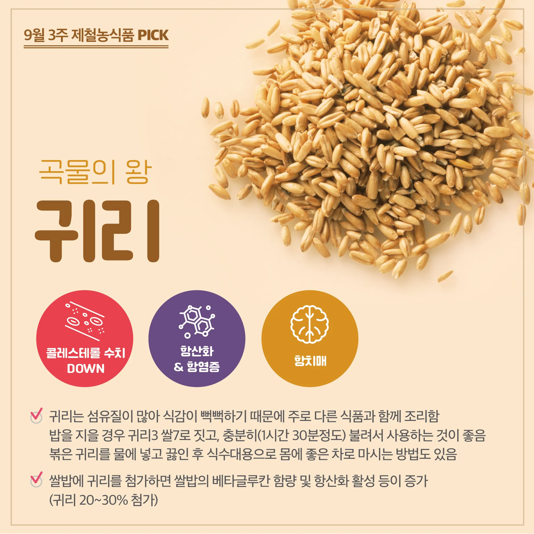 귀리 효능과 부작용 귀리 오트밀 차이점 안내_6