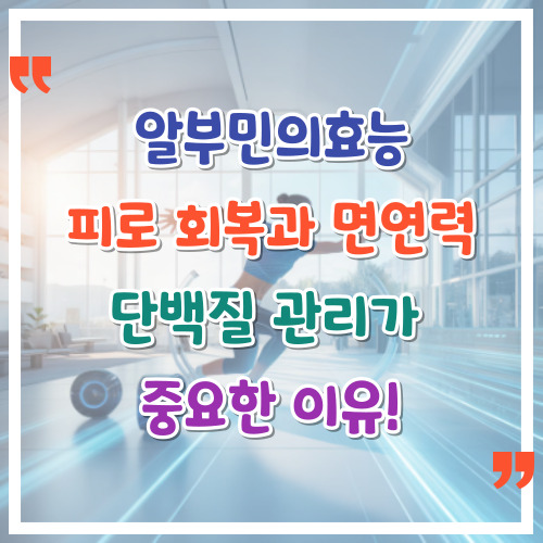 알부민의효능-피로-회복과-면역력-단백질-관리가-중요한-이유