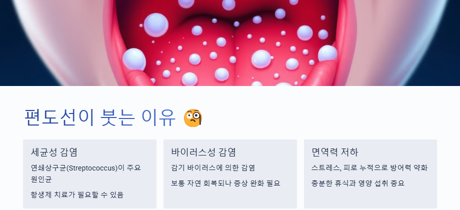 편도선이 붓는이유, 편도선염, 편도선염 증상, 편도선염에 좋은 음식, 편도선 증상