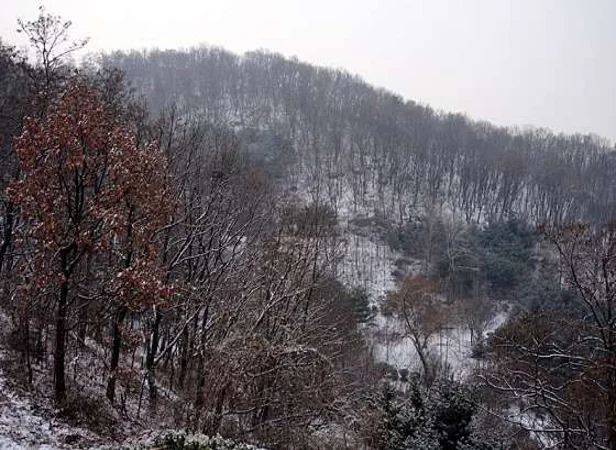 도덕산