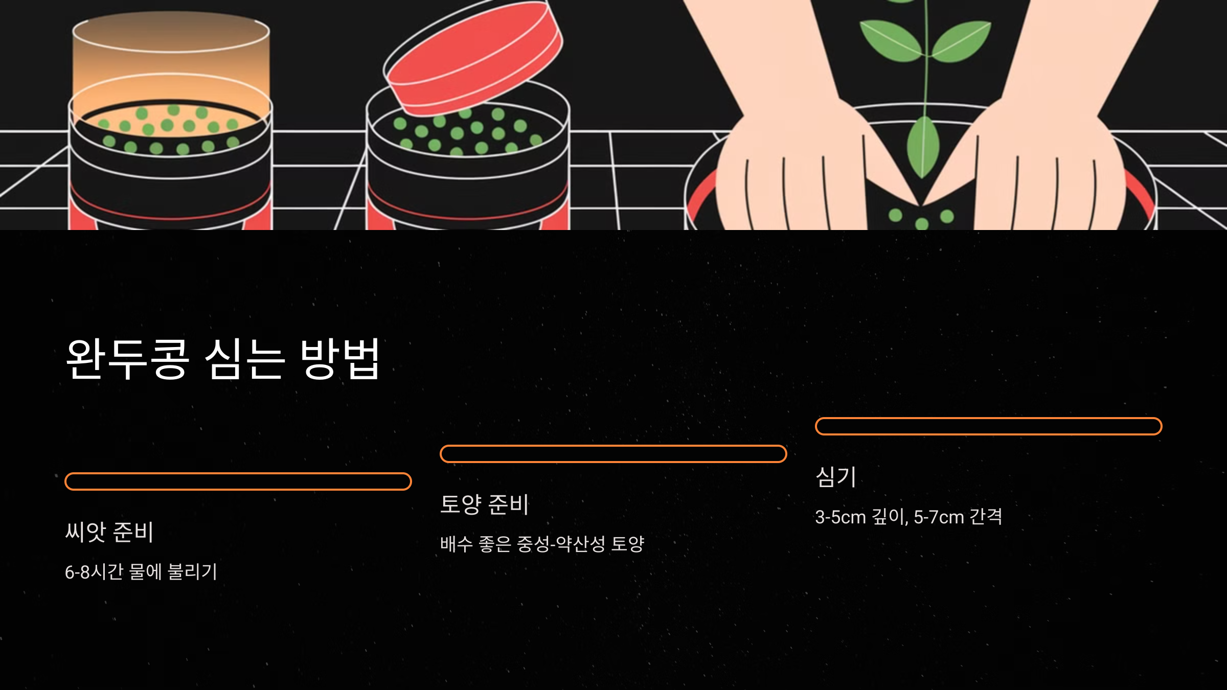 완두콩 심는 방법