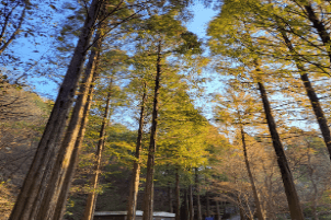 장태산자연휴양림 요금 선착순 사전예약 주차 할인 산림복지바우처