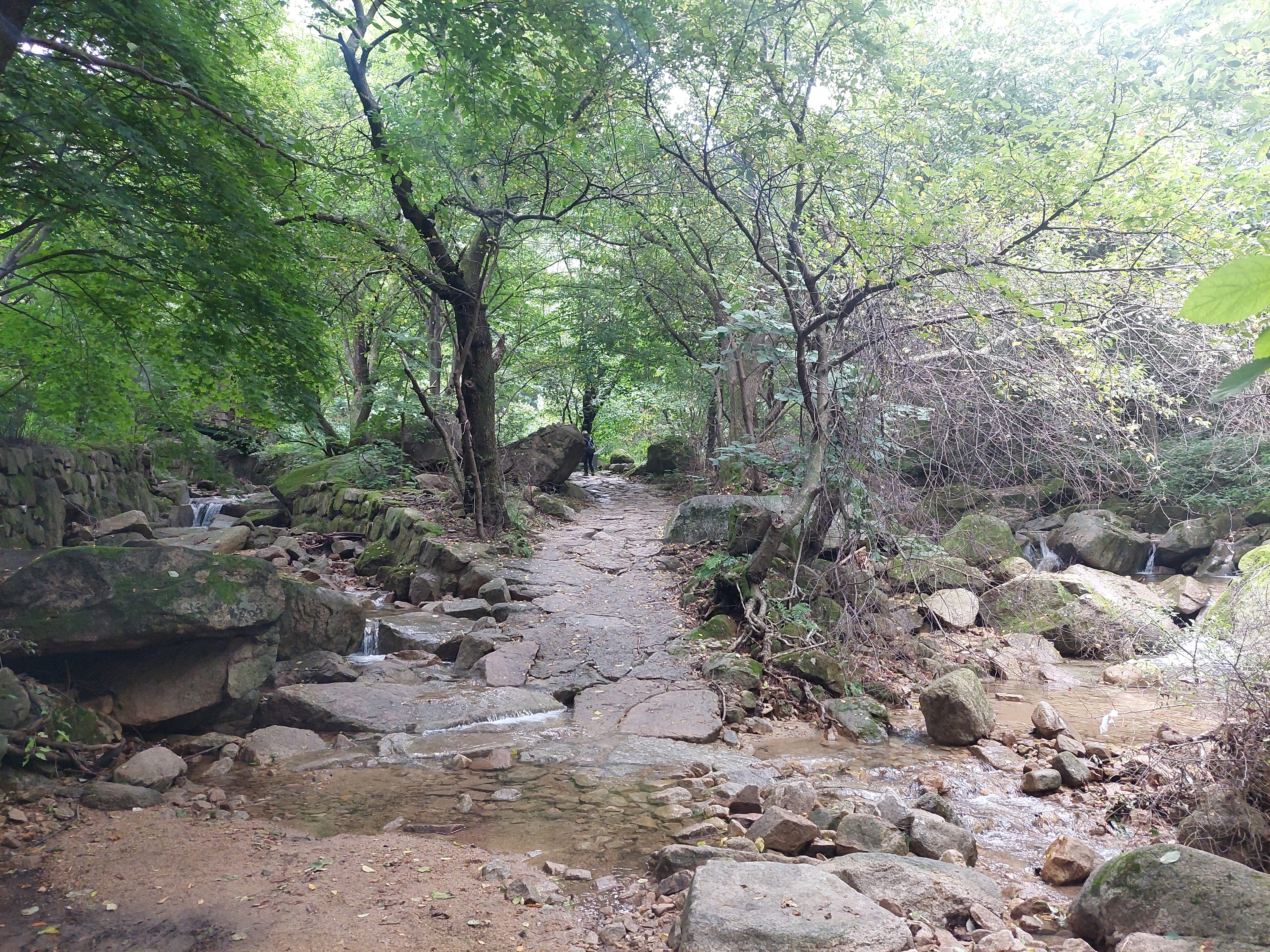 대남문