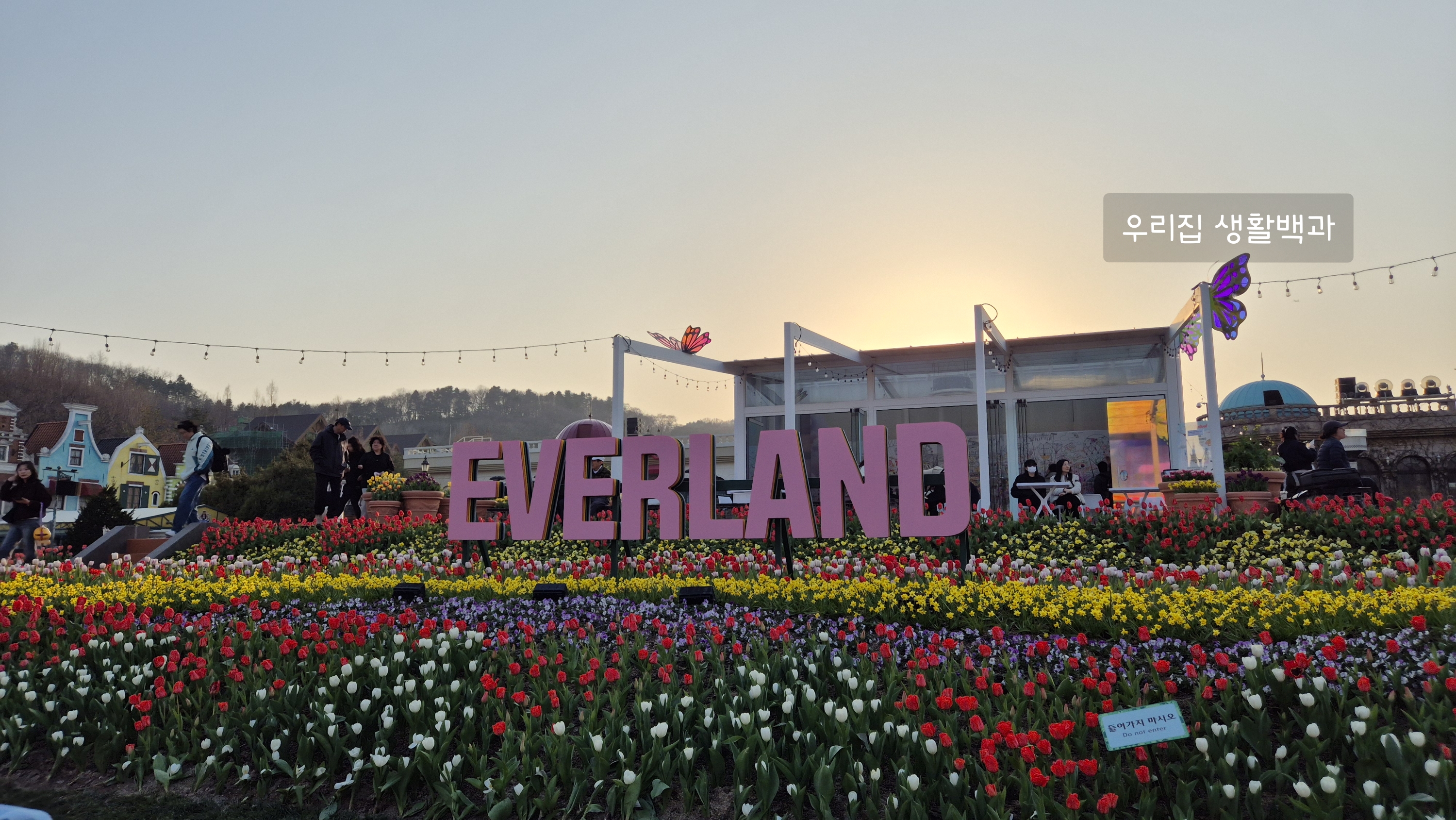 에버랜드 3월 방문 꿀팁