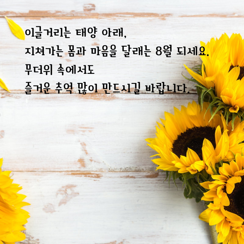 2025년 8월 인사말 문구 이미지 모음집