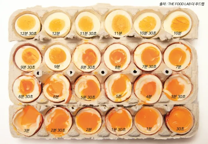 삶은 계란 보관법과 신선도 유지 비결_2