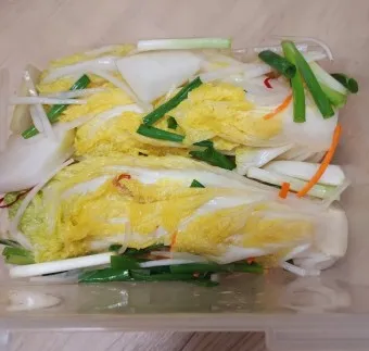 백김치 황금레시피_13