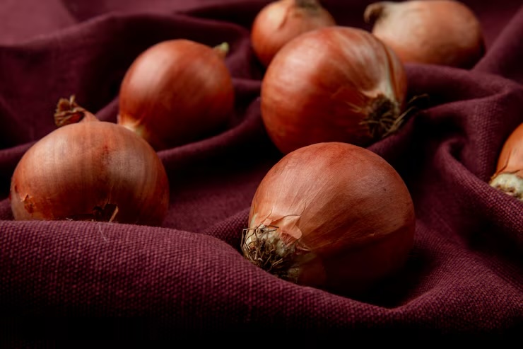 양파 껍질차 효능