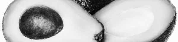 아보카도 효능 '숲 속의 버터'