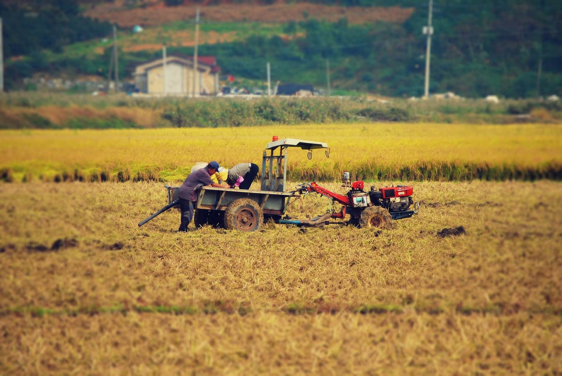 공익직불금 신청자격 신청방법 신청기간 신청서류