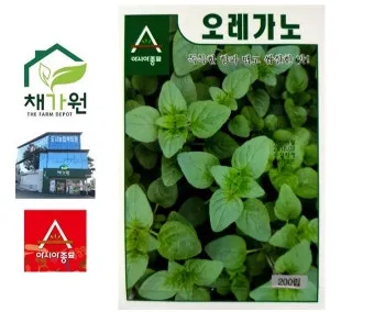 오레가노 재배 삽목 번식 통풍 관리 잎 수확_7