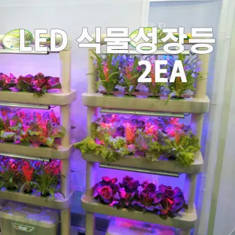 타이머 세팅 자동점등 소등루틴 식물등사용 습관 만들기 편리한 관리_29