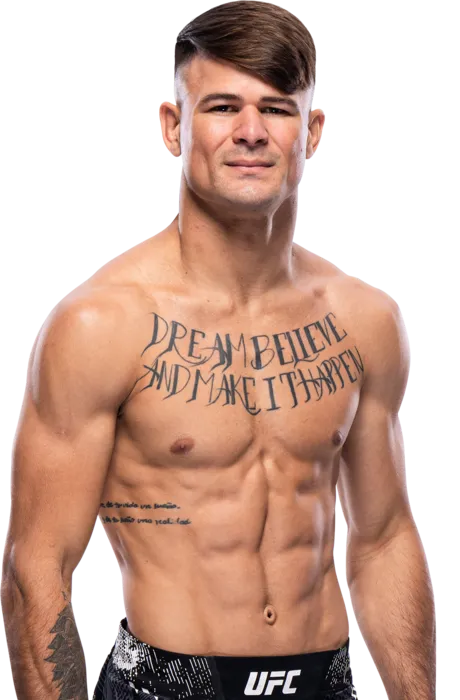 UFC295 경기결과 하이라이트: 데이고 로페즈 VS 페 사바티니