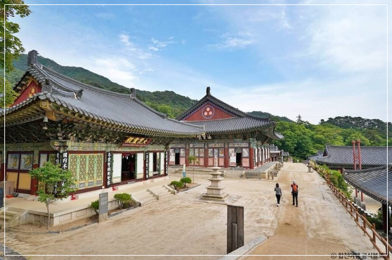 합천 가볼만한곳 베스트10 해인사