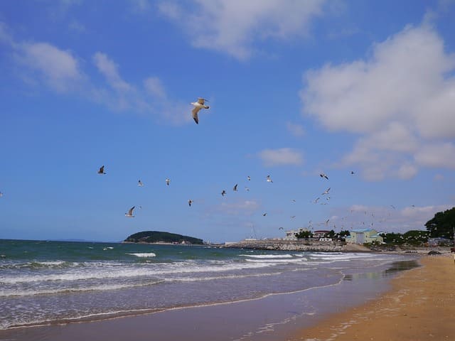 여름휴가 해수욕장 추천, 한적한 해수욕장, 조용한 해수욕장, 사람없는 해수욕장