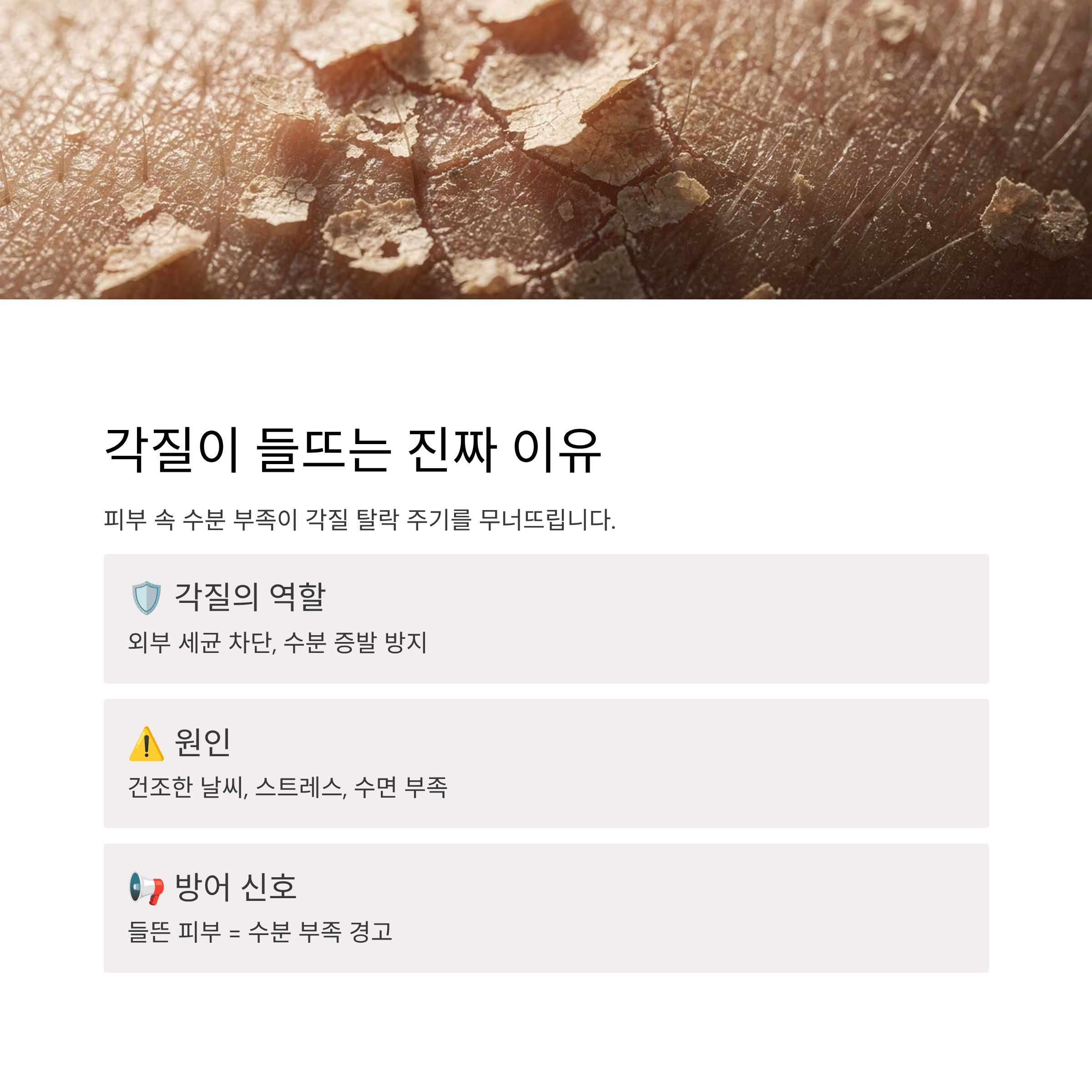 각질의 발생 원인