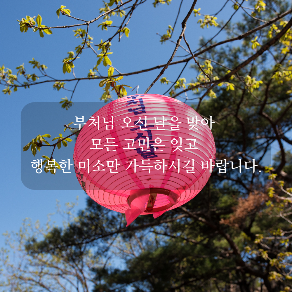 부처님 오신 날 인사말 문구 이미지 석가탄신일 사진 글귀 불상