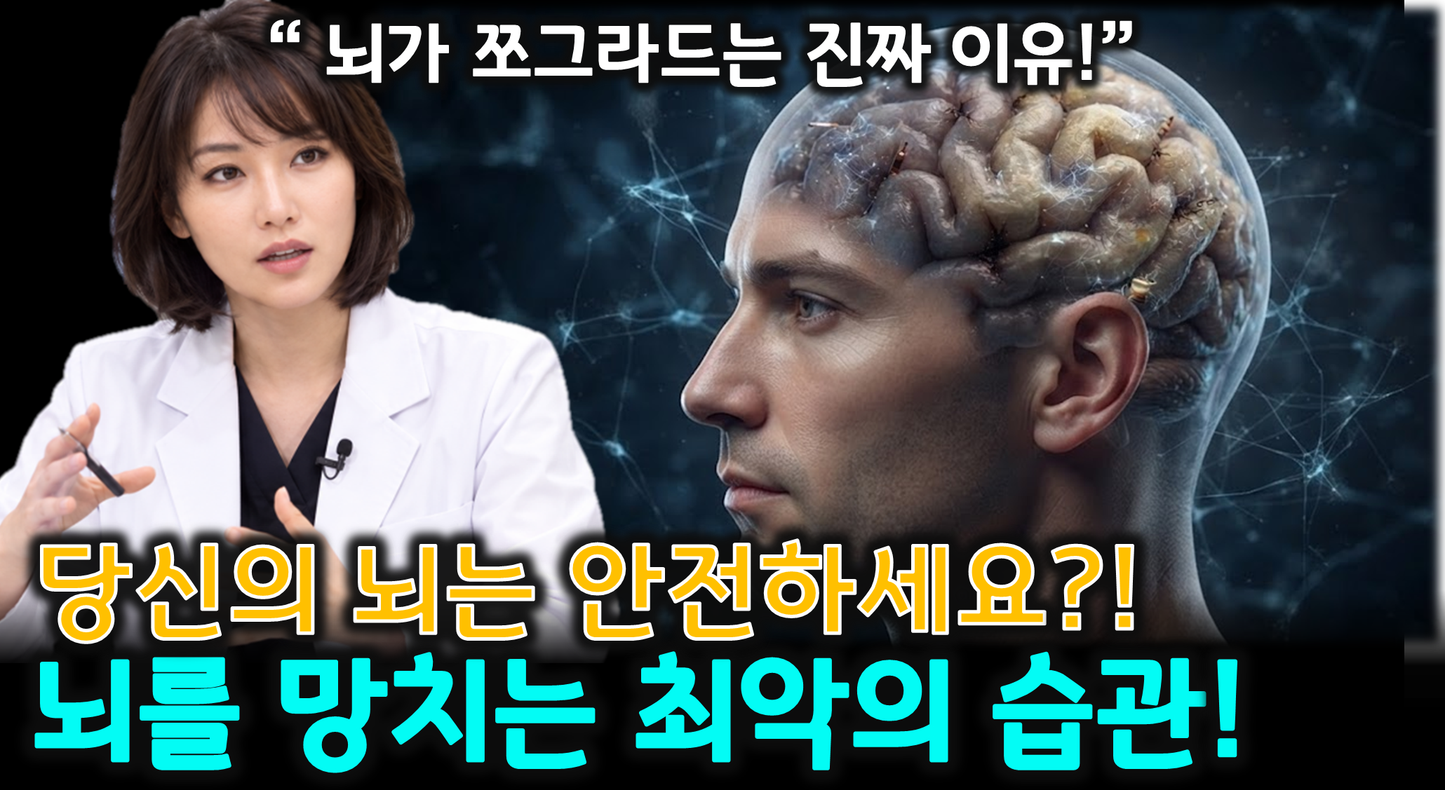 뇌 건강과 운동 (뇌 MRI, 슬로우 조깅, 뇌 가소성)