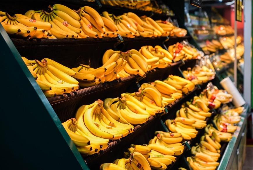 제철 식재료 어떻게 보관해야하나요