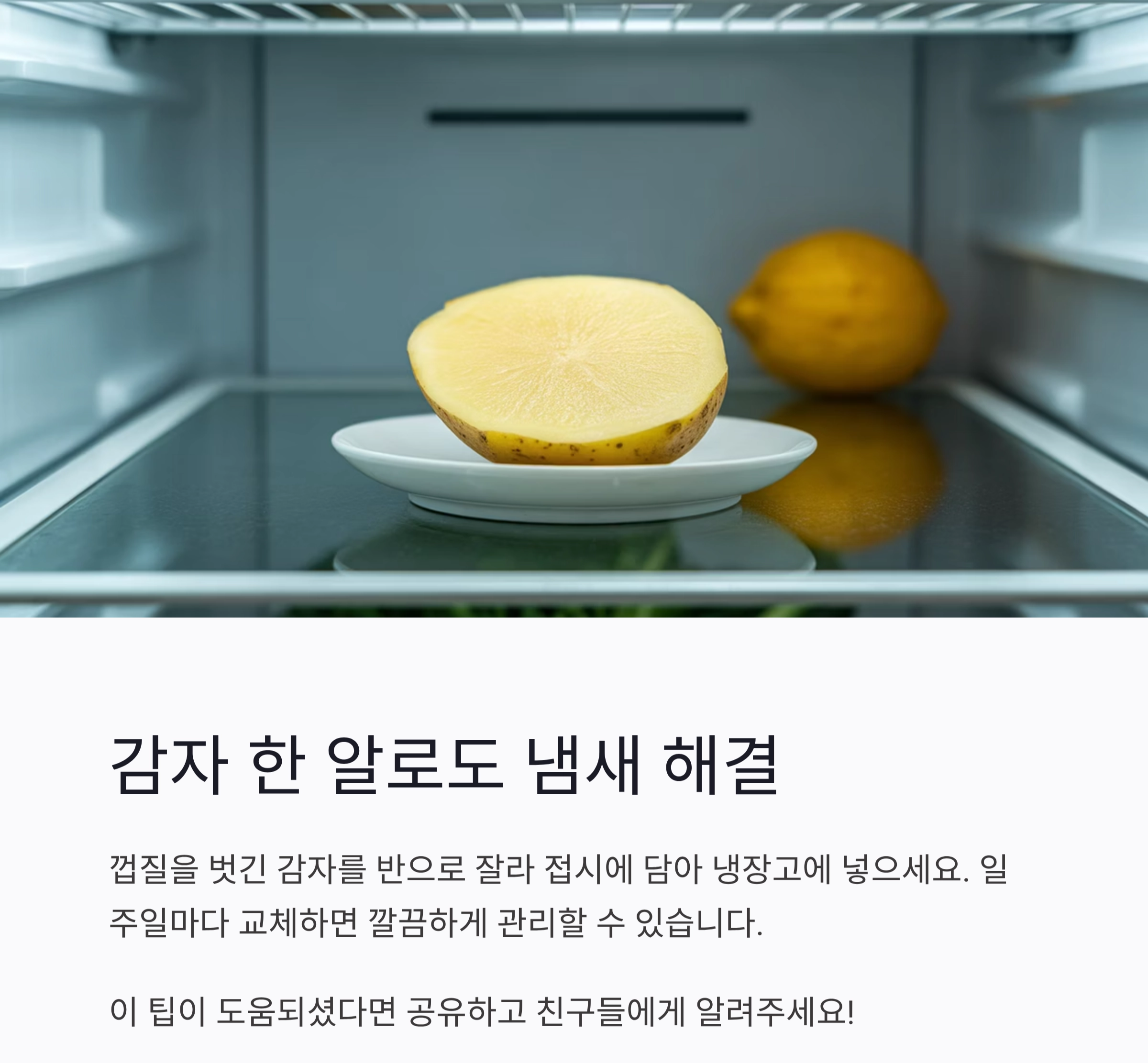 냉장고 냄새 싹 잡는 재료, 이것만 알면 끝!