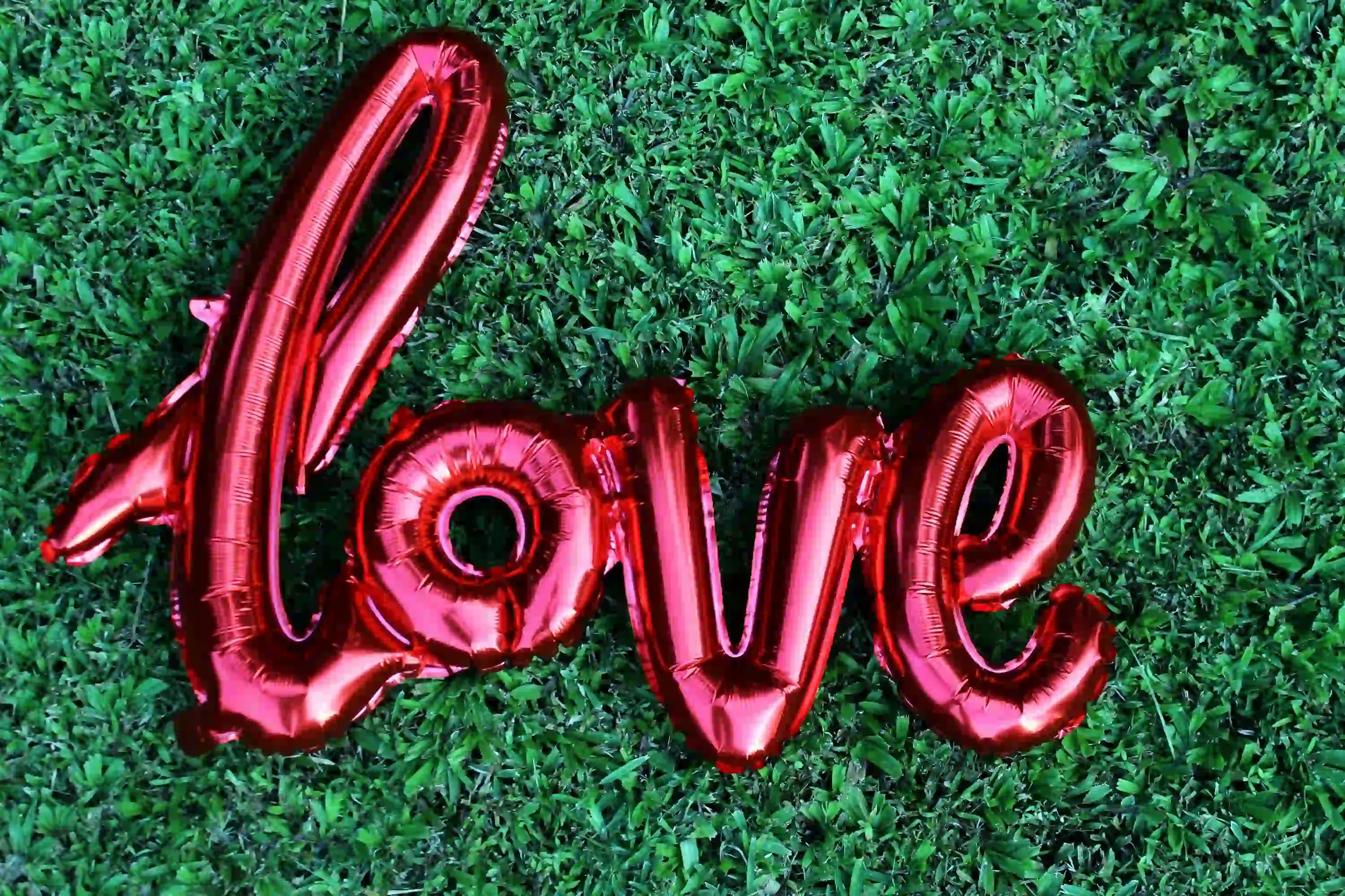 요양보호사 시험일정 총정리 &amp;#124; 완벽해부 요양보호사 시험일정 