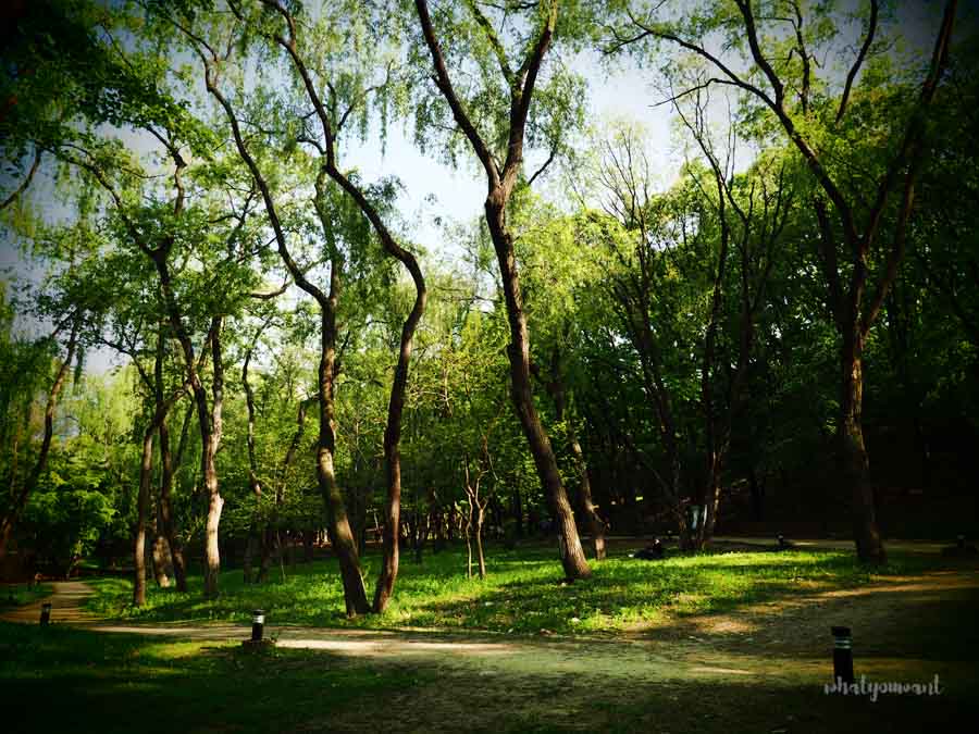 힐링산책로, 선정릉